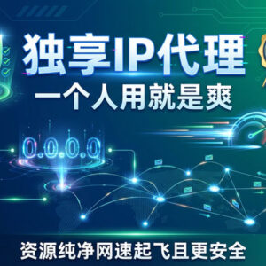 独享 IP 代理定制服务 可试用